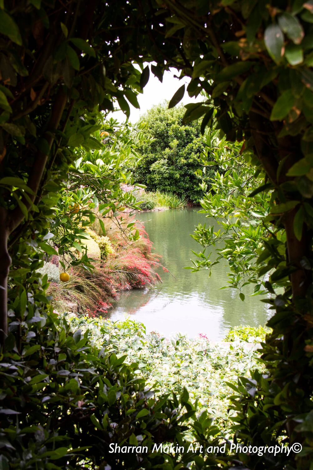 Hunter Valley Gardens - Hidden Gem by Sharran Makin © Sharran Makin